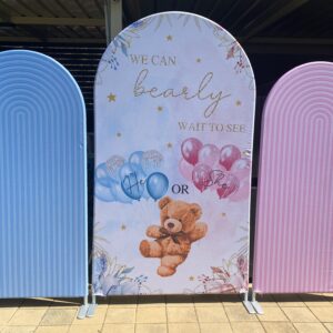 Gender reveal 2 naslovna