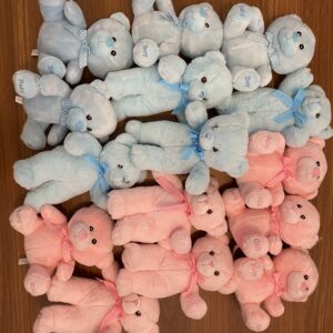 gender reveal teddies naslovna