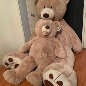 Giant teddy naslovna