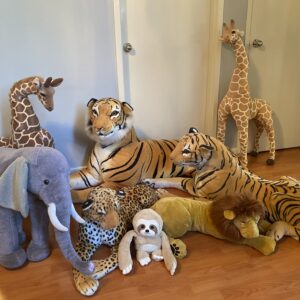 Sfafari animals naslovna