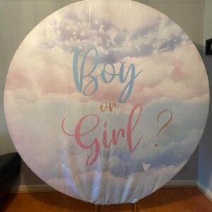 Gender reveal 4 naslovna
