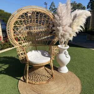 peacock chair naslovna