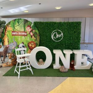 Safari Classic naslovna