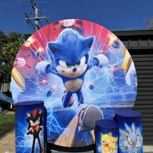 Sonic Bacldrop
